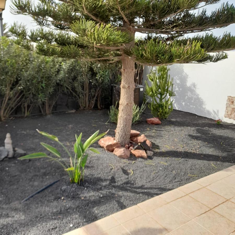 Villa Julima Πλάγια Μπλάνκα Εξωτερικό φωτογραφία